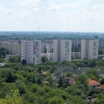 Madzsar József sokoldalú életútja és tudományos öröksége